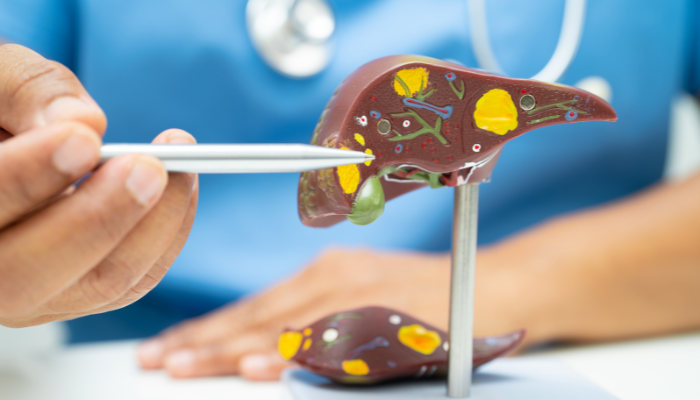 ANATOMY & SURGICAL PATHOLOGY (In-Person)